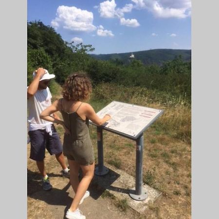 Ferienwohnung Forneck Am Rheingoldbogen Brey Dış mekan fotoğraf