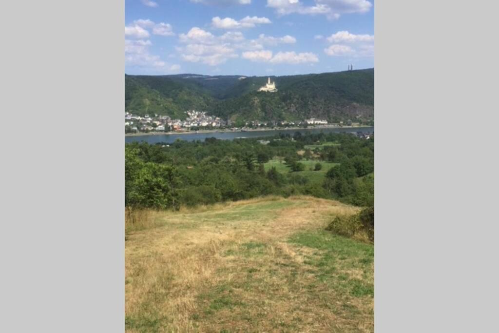 Ferienwohnung Forneck Am Rheingoldbogen Brey Dış mekan fotoğraf